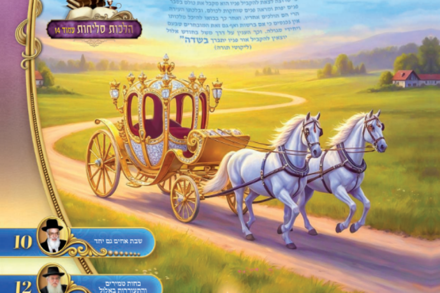 צילום מסך 2025-08-24 230412