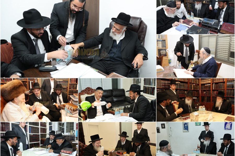 צילומים: נועם אליהו