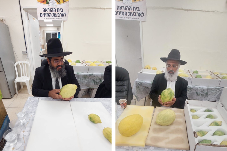 רבני המאורות בבדיקת ד' מינים מכירת החסד בראש העין תשרי תשפו (1)