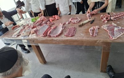 שחיטת חולין הרב גולן גיאת (1)